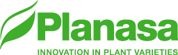 Logo Planasa