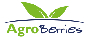 Logo AgroBerries